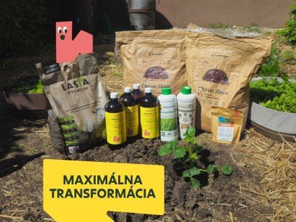 Maximálna transformácia