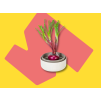 Regrow HT