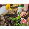 Aplikácia biostimulantu Microfertile na list