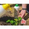 Aplikácia biostimulantu Ekofertile na list