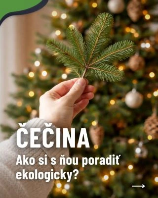 Kedy skladáte vianočnú výzdobu?🎄 Stromček, ktorý doslúžil, nemusí skončiť v koši. Čečina je súca do kompostérov, no len ak...