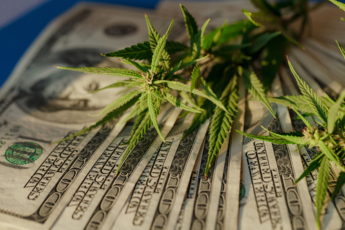 Všetko o bezpečnosti HHC