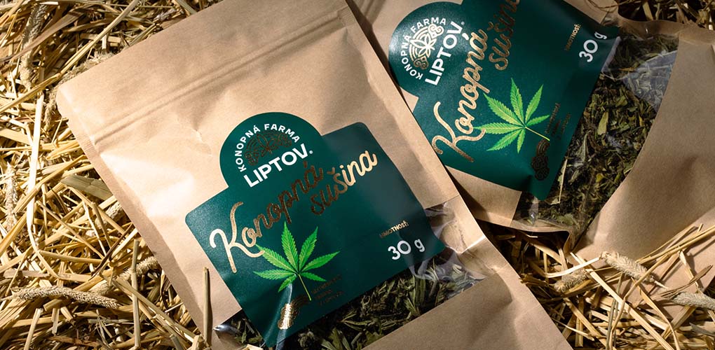 Konopný čaj – príprava, účinky, pôvod.