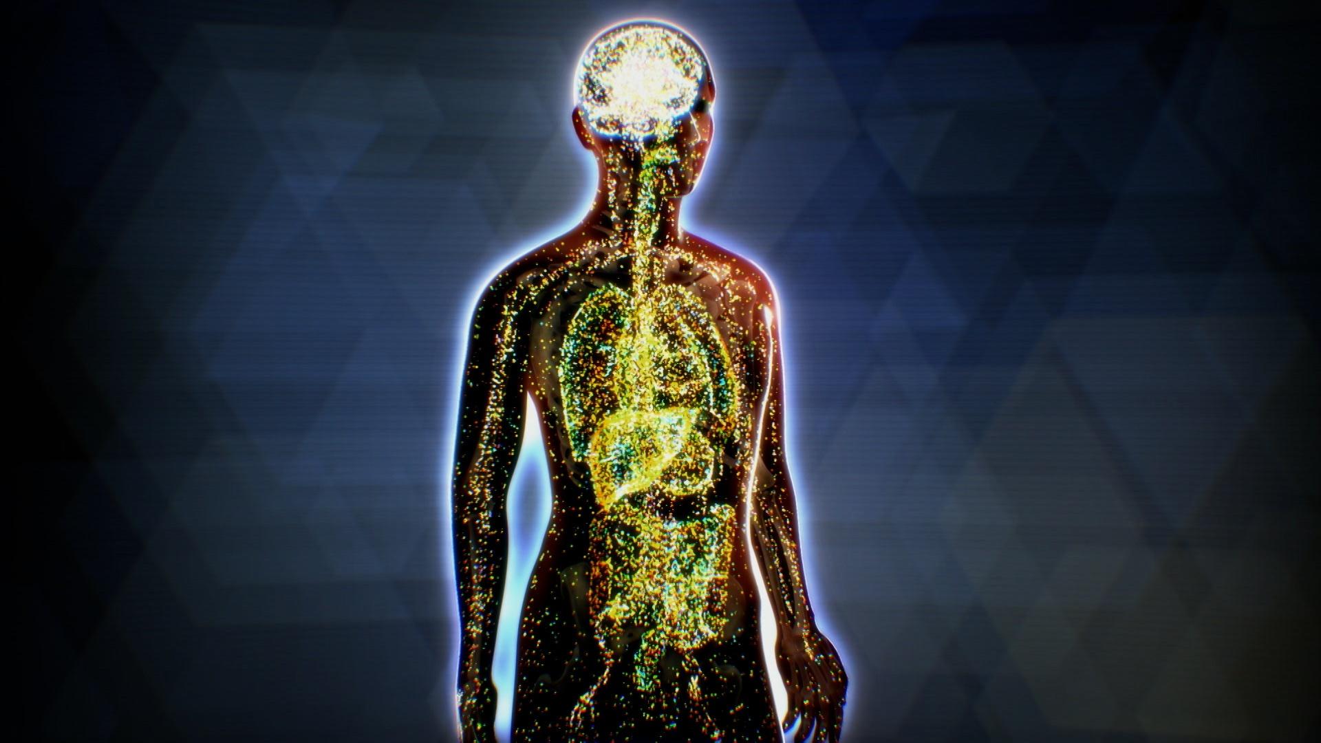 Čo je endokanabinoidný systém?