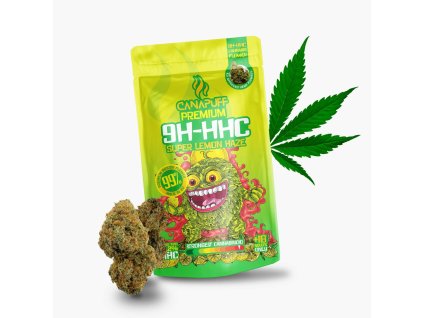 obrázok 2026 02 21 155129453