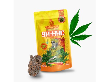 obrázok 2026 02 21 155914902