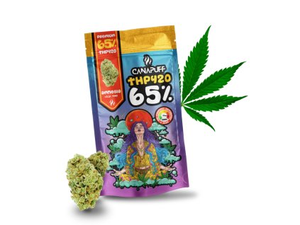 obrázok 2026 02 18 184440386