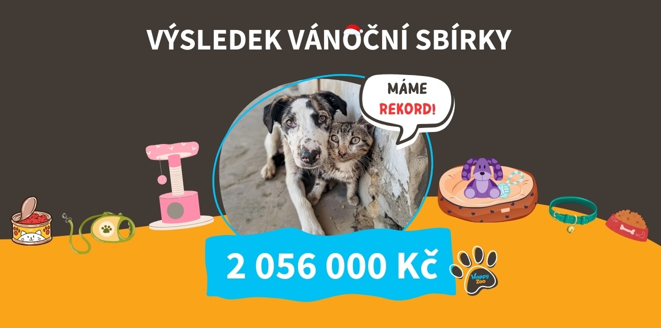 Dary pro útulky za 2 miliony. Vánoční sbírka HappyZoo má nový rekord