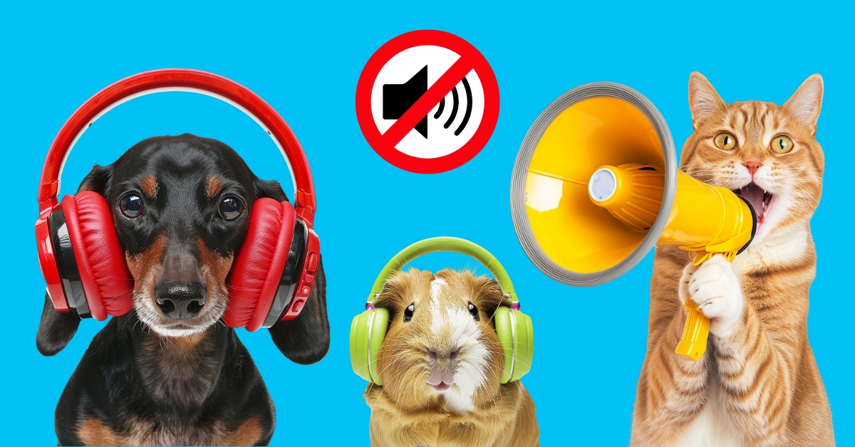 Nová vyhláška omezuje hlučnost domácích mazlíčků. Platí už od dubna!