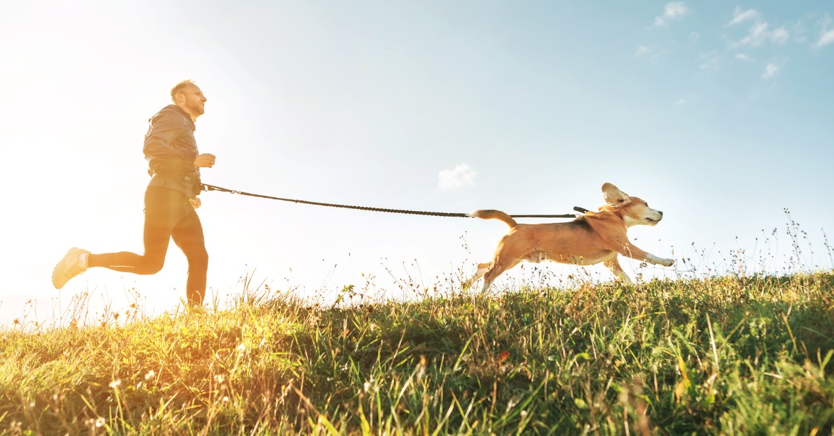 5 psích sportů, které si zamiluje váš pes i vy