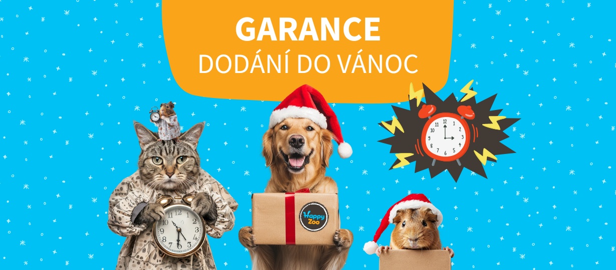 Garance doručení do Vánoc. Do kdy musíte objednat?