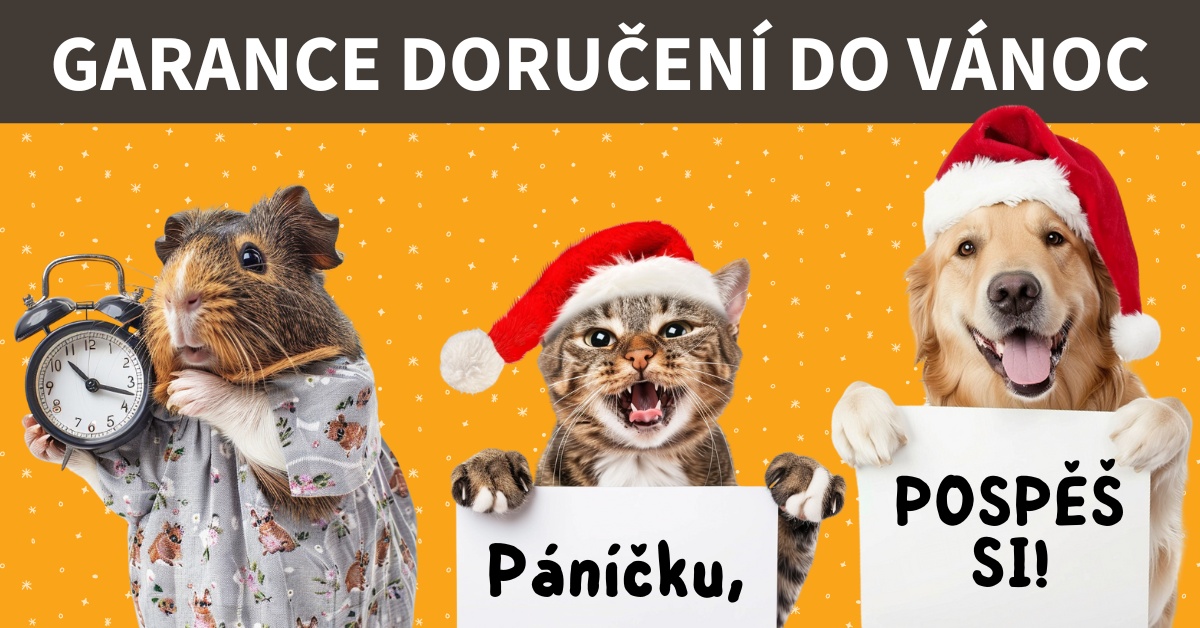 Garance doručení do Vánoc: Ještě to stíháme!