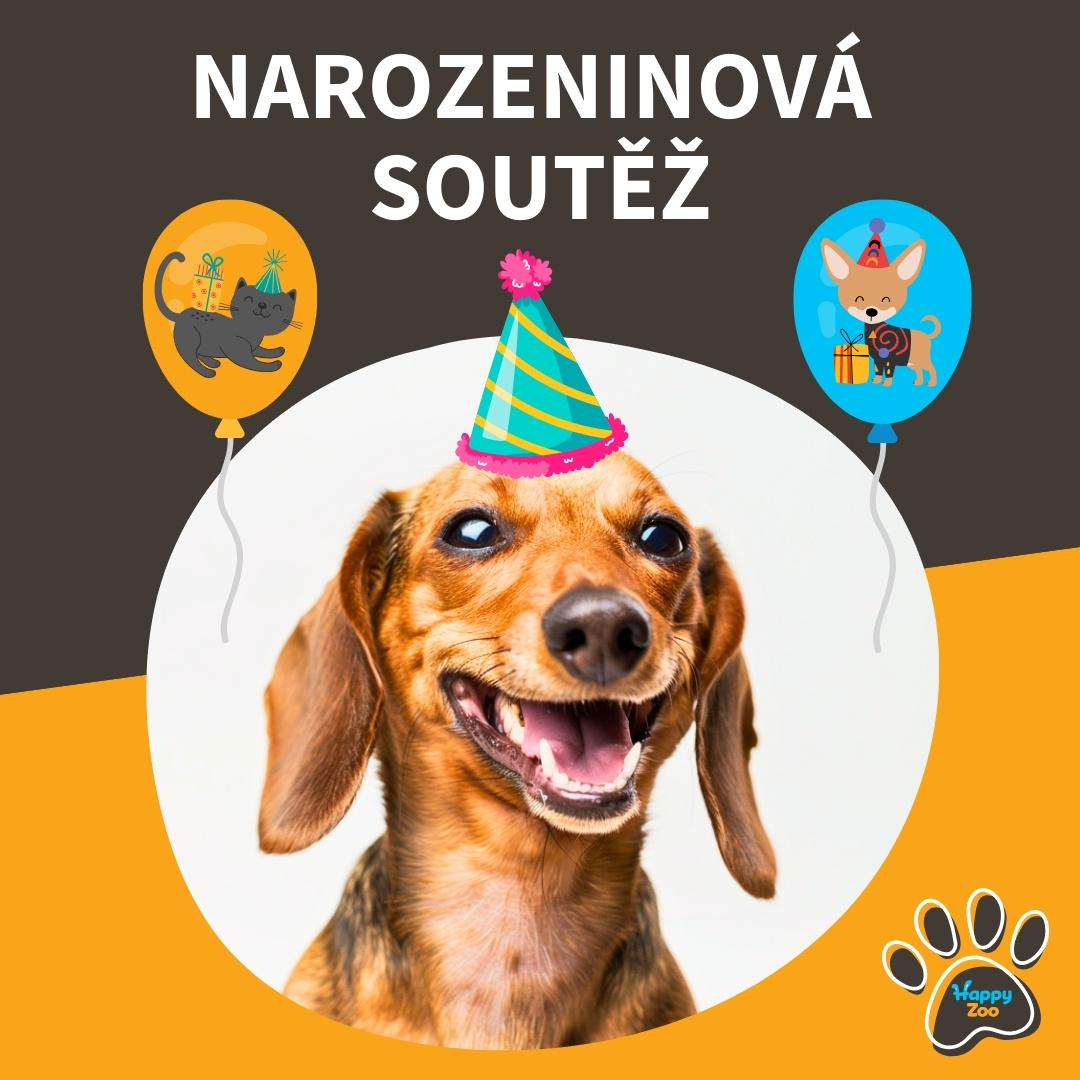 Narozeninová soutěž pro mazlíčky