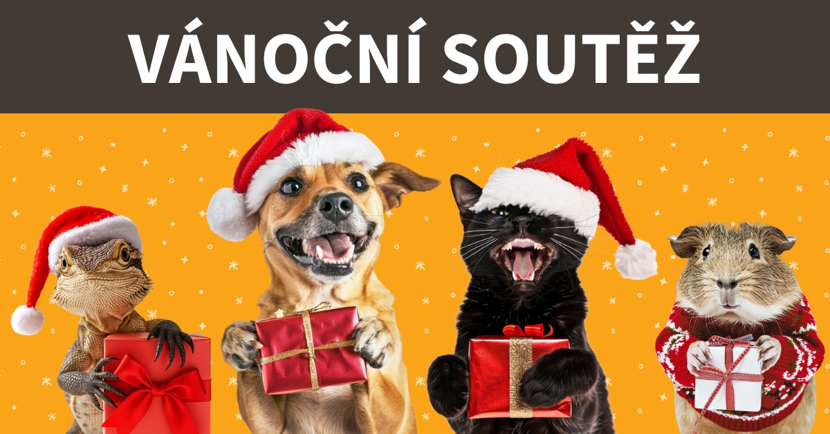 SOUTĚŽ: HappyJežíšek rozdává dárky mazlíčkům