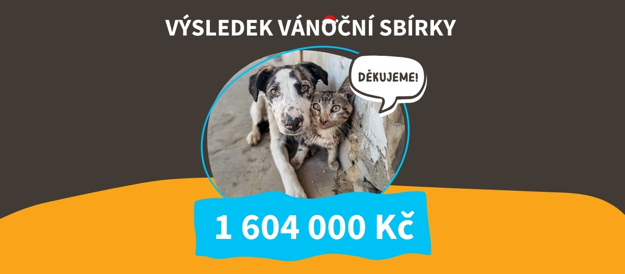 Rekordní Vánoční sbírka HappyZoo: Útulky dostanou dary za 1,6 milionu!