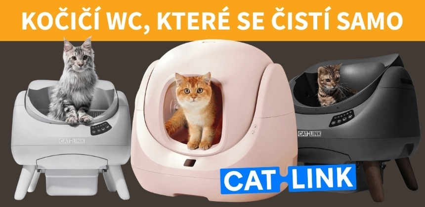 Catlink