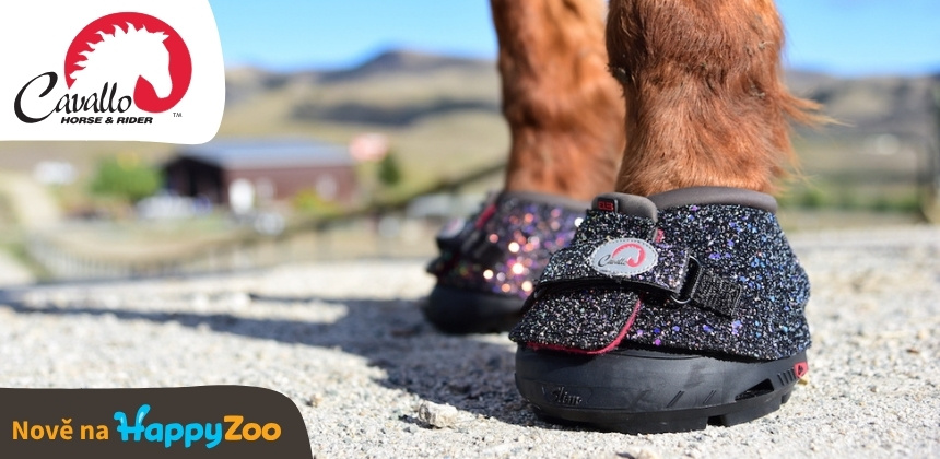 Cavallo