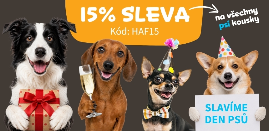 Mezinárodní den psů