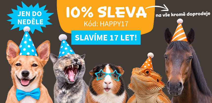 Slavíme 17 let