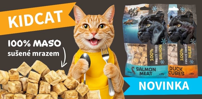 KidCat