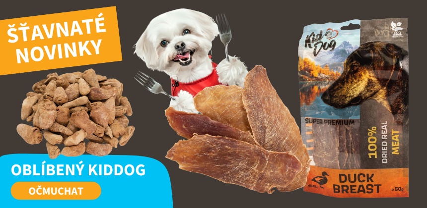 Oblíbený KidDog