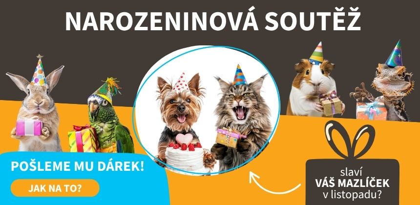 Narozeninová soutěž