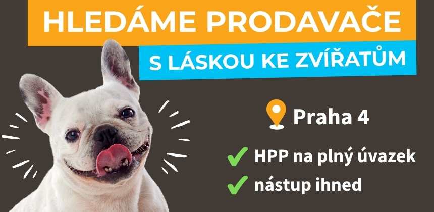 Právě hledáme
