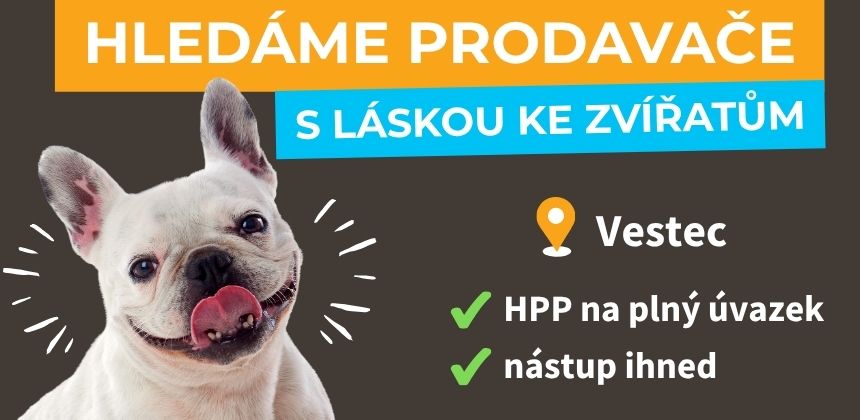 Právě hledáme
