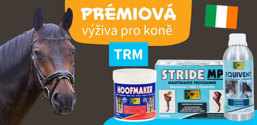 Vánoční sbírka výsledek