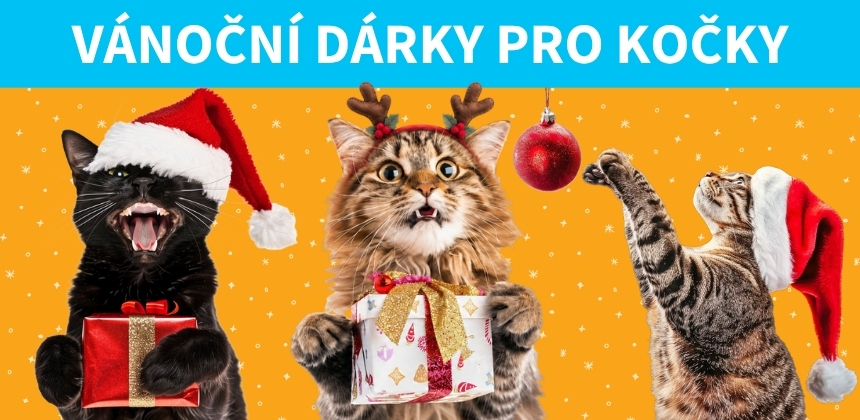 Kočičí Vánoce