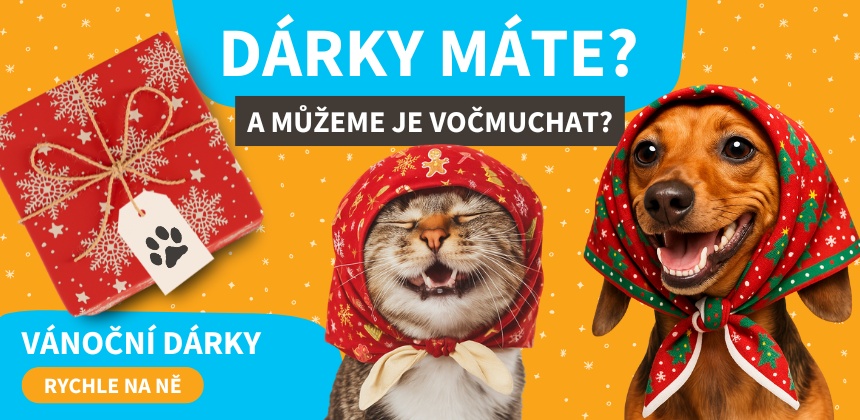 Vánoce dárky