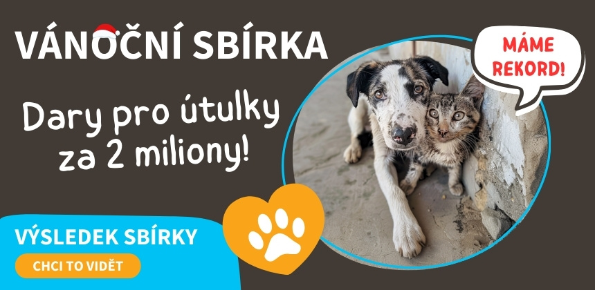 13. Vánoční sbírka