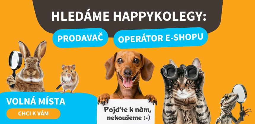 Právě hledáme