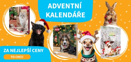 Adventní kalendáře
