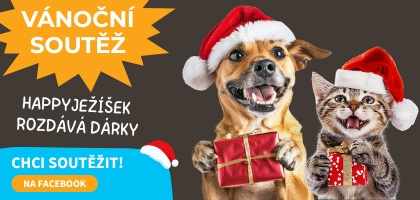 HappyJežíšek rozdává dárky