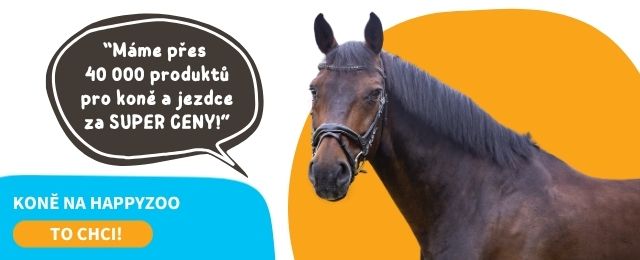 Koně na HappyZoo