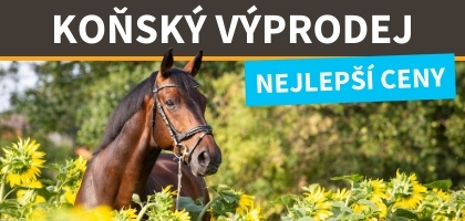 Koňský výprodej