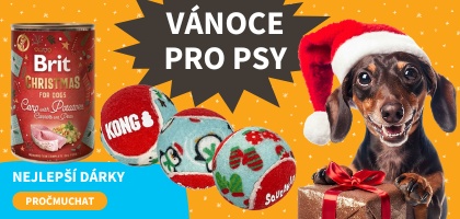 Vánoce pro psy