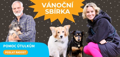 Vánoční sbírka