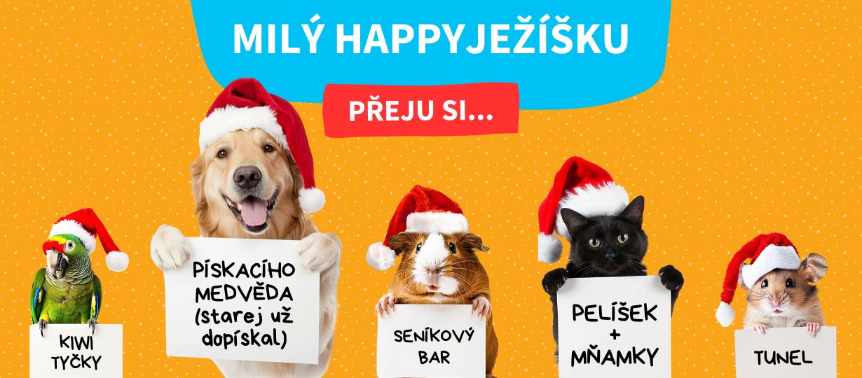 mily_happyjezisku