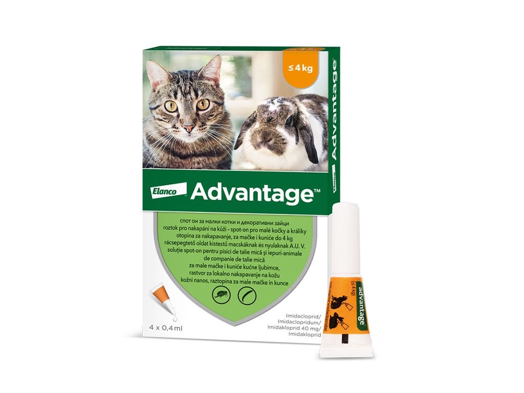 ADVANTAGE 40 pro malé kočky a králíky Spot-on 4x0,4ml (DOPRODEJ EXP. 02.2026)