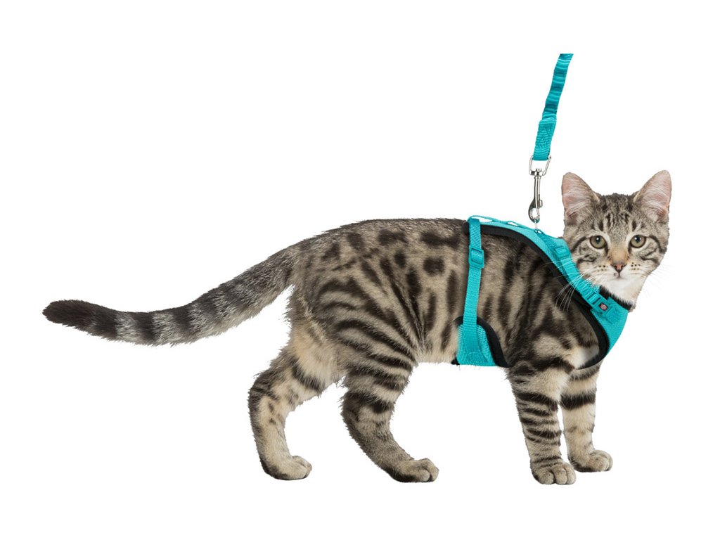 Postroj TRIXIE na kočku měkký a síťovaný s elastickým vodítkem (XL)  39-60cm/100cm (MIX BAREV) - HappyZoo s.r.o.