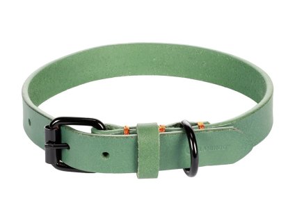 Obojek FLAMINGO Leano kožený zelený (M) 2x36-44cm