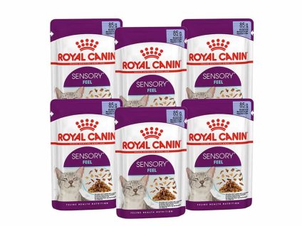 Kapsička ROYAL CANIN Sensory Feel 12x85g (v omáčce) (multipack)