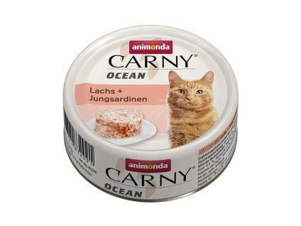 Konzerva CARNY Ocean losos a sardinky 80g