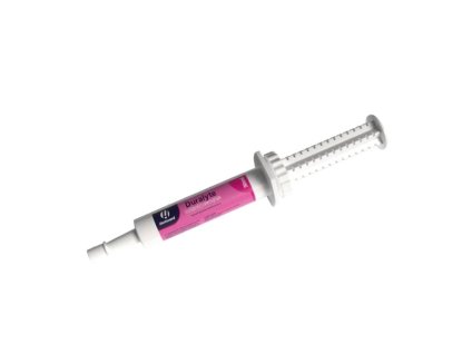 HESTEVARD Duralyte pasta pro rychlou kompenzaci ztráty elektrolytů 30ml