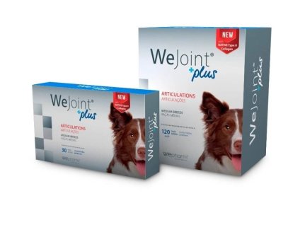 WEPHARM WeJoint Plus pro střední psy 30tbl (DOPRODEJ)