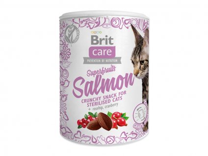 BRIT CARE Cat Snack Superfruits Salmon 100g