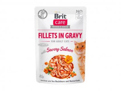 Kapsička BRIT CARE Cat Fillets in Gravy Savory Salmon 85g