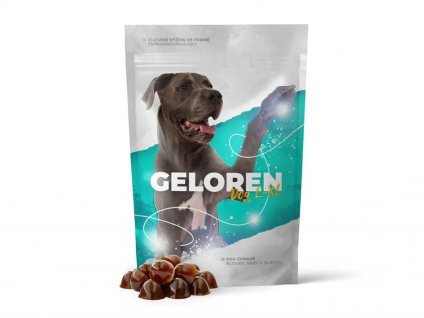 GELOREN Dog L-XL 420g (60tbl)